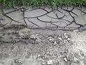 Hochwasser (351)